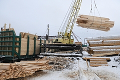 Белоруссия пригрозила Литве древесиной