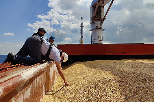 Шесть стран ЕС потребовали ограничить поставки дешевого зерна с Украины