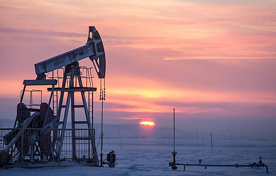 Индия назвала условие для ограничения покупки нефти из России