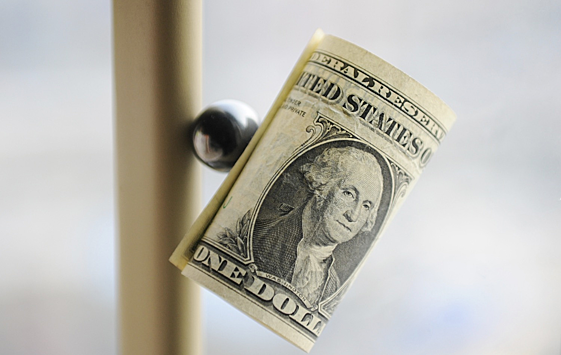 Экономист назвал «новый доллар»