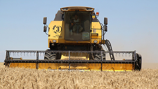 Валовый сбор зерна в России за 10 лет вырос в 2,8 раза
